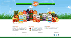 Desktop Screenshot of ludfordsinc.com